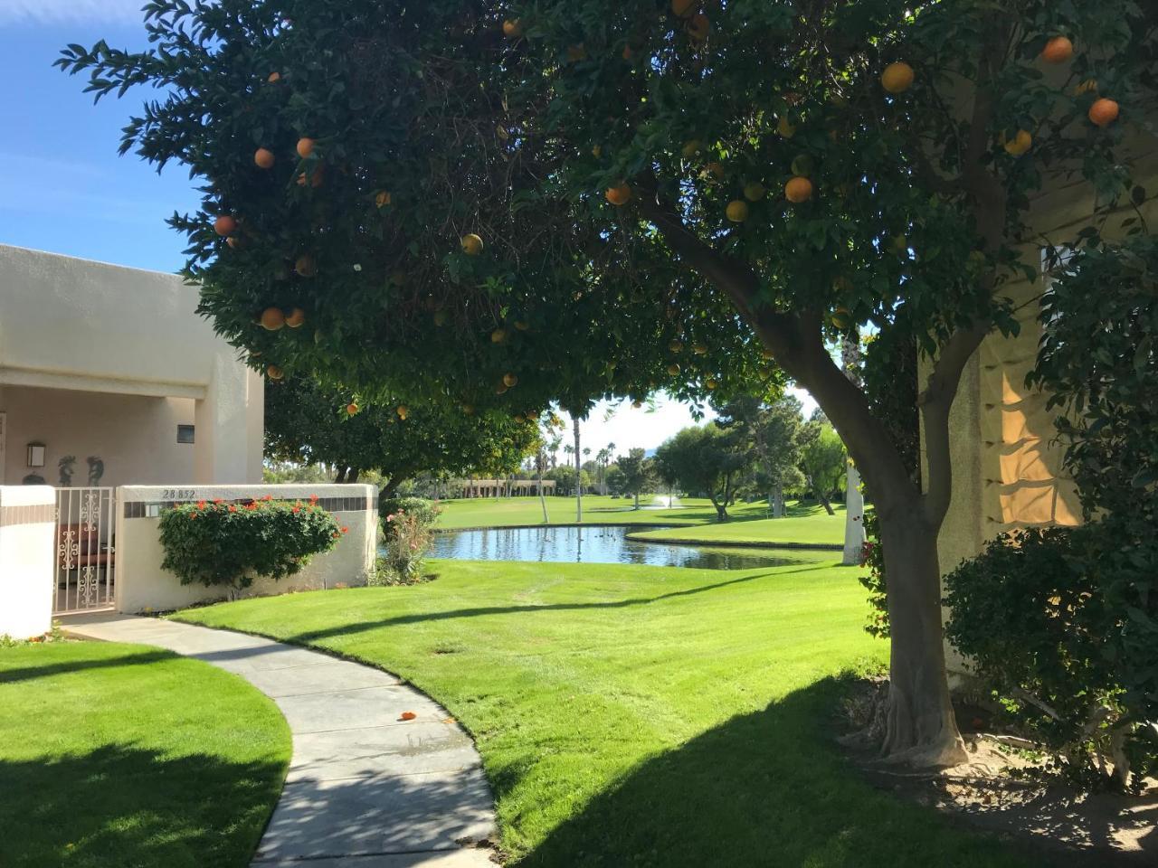 Palm Springs-Desert Princess Country Club Villa Cathedral City Bagian luar foto